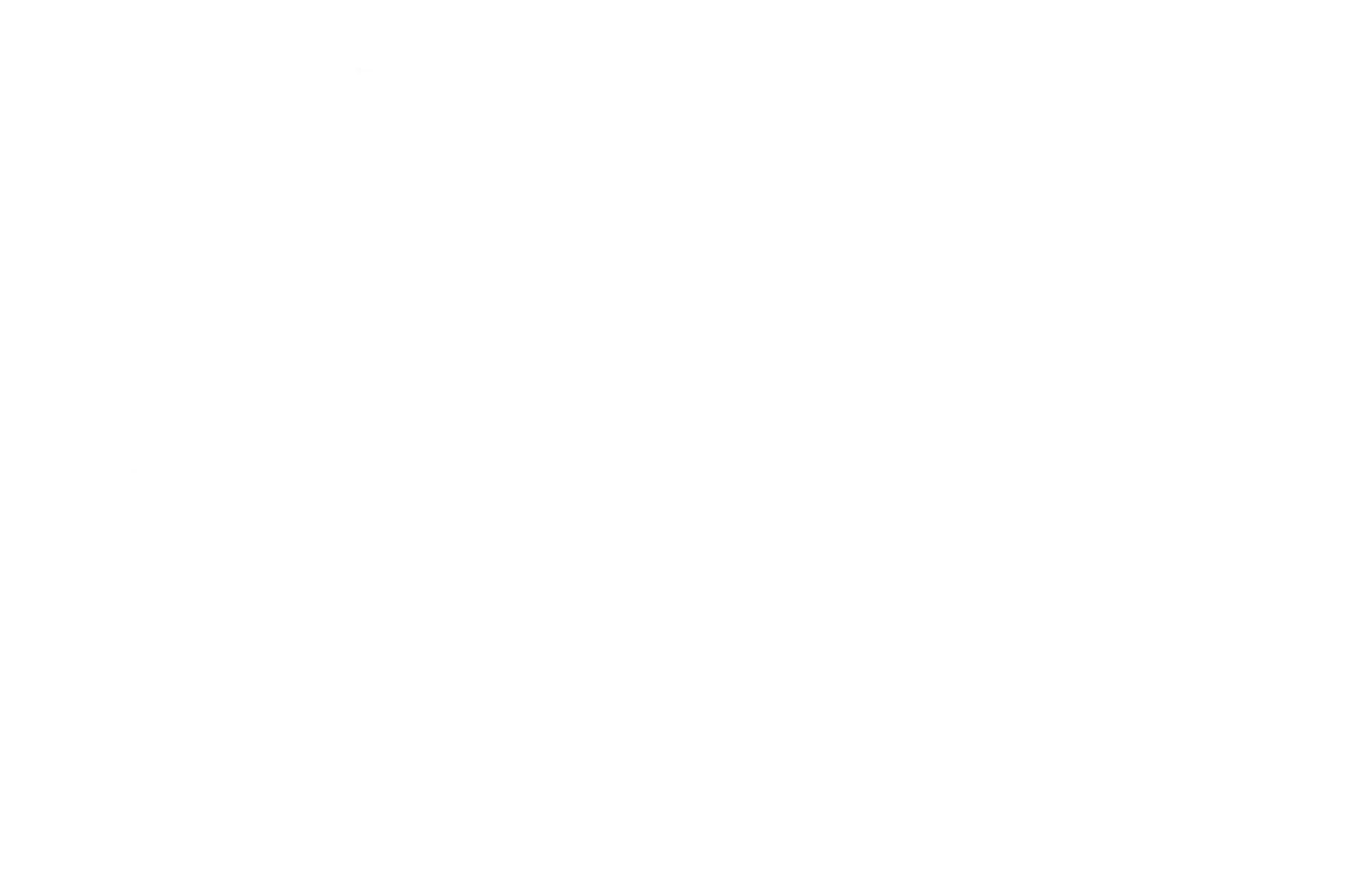 Semi Finalist - Tokyo Shortfest - 2024