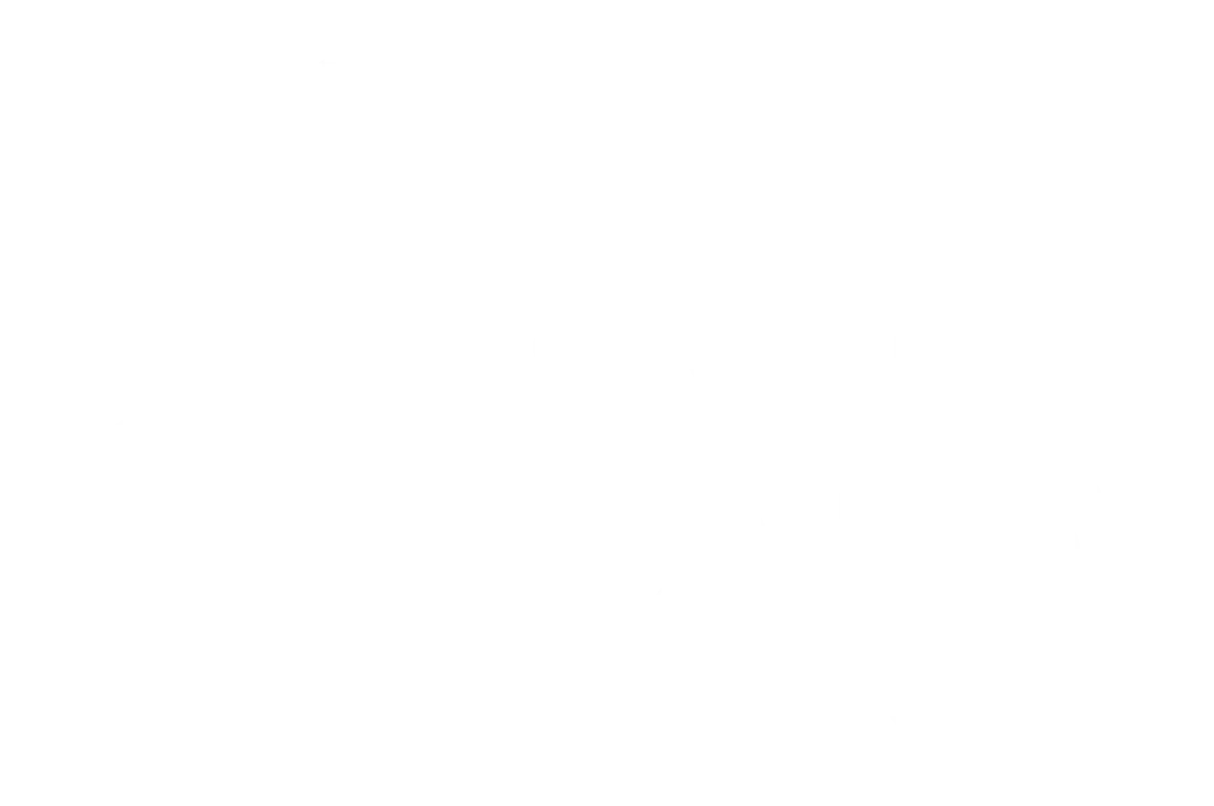 New York Indie Shortfest - 2024